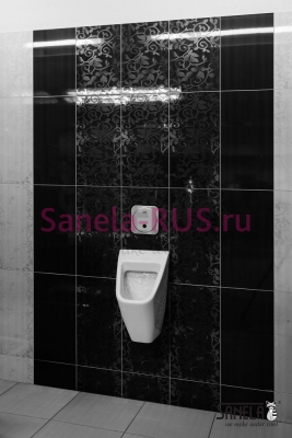 Автоматический смыв писсуара SLP 02N арт: 42022 Sanela Чехия (фото, схема)
